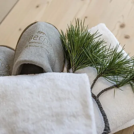 Aparthotel Exzelent Berna Mountain Perca